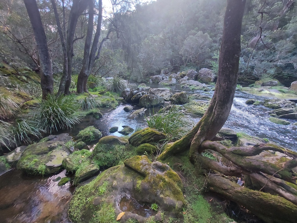 Berowra Creek